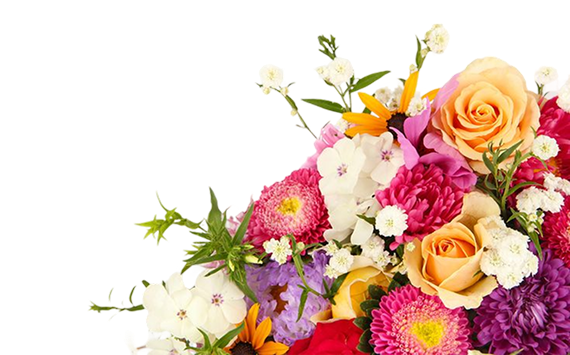 Flower Hero Image